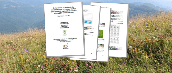 HNV grassland protection and the role of the CAP