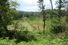 Small scale family gardens in Elena area of Stara planina mountains; Y.Kazakova 