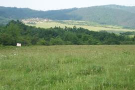 Grasslands represent around half of the land in the water protection zone of Yovkovtsi dam; Y.Kazakova