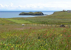 Small part-time HNV farming