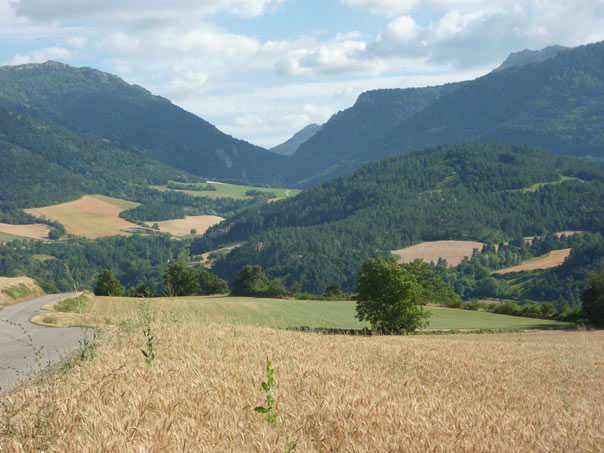 an example of mixed-crop livestock agrarian system with - fragile - HNV characteristics