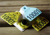 Electronic Identification