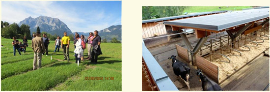 At the fields and farms of the Federal Education and Research Institute Raumberg-Gumpenstein