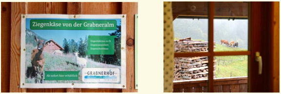 At Grabnerhof  (Technical School for Agriculture and Alpine Farming) goat farm