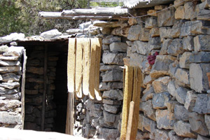 Esparto-grass cheese-making material hanging outside a farmhouse cheese dairy in Spain