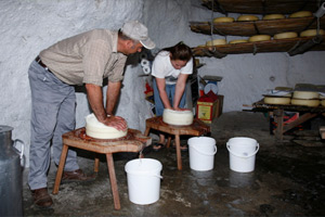 Transhumant cheese-dairy in Gran Canaria