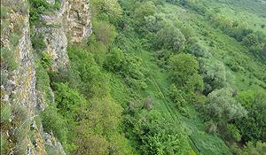 canyon floor grasslands