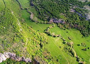 Lowland Hay Meadows