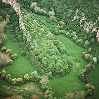 Влажните пасища