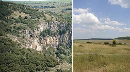 захрастени пасища