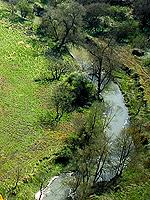 banks of the Lom rivers