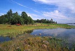 Island of Gr&auml;s&ouml;