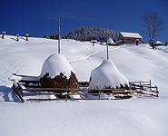 Landscape with snow cover