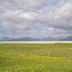 Machair