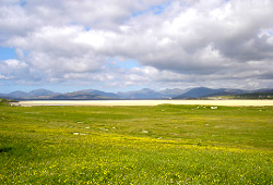Machair
