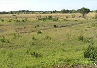 High Nature Value Farming in Estonia