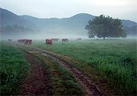 Strandzha (Bulgaria)